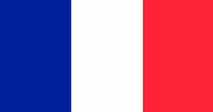Diseño web seo bandera francia
